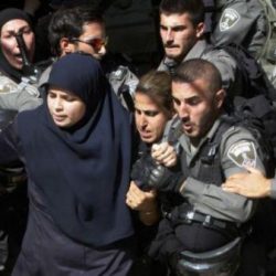 بالصور.. سيارة بلوحات سعودية داخل الأراضي المحتلة
