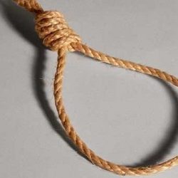 قرود تهاجم طفلاً بالباحة وتصيبه بجروح عميقة