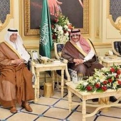 بالفيديو.. الملك سلمان يُحيي مواطناً من سيارته خلال إجازته الخاصة.. والمواطن: “عاش سلمان مليكنا”