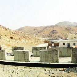 استكمال متطلبات تطبيق التأمين الصحي لزوار المملكة ومرافقيهم