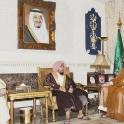 الأهلي يسعى لتجديد عقد الفهمي وإعارته لموسم واحد