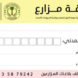 إحلال كلى النور التخصصي وفق منهجية علمية