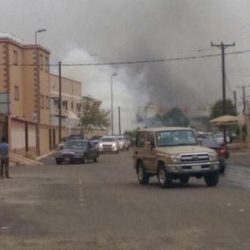 “الداخلية”: أكثر من 4 آلاف موقوف في سجون المباحث على خلفية قضايا الإرهاب