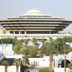 يد عامل مصري تعلق بفرامة لحم (صور)