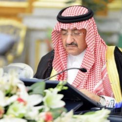 بالفيديو.. طائرة صغيرة تعلق بالحبلة في عسير