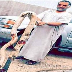 حادث مروع على طريق الأرطاوية – الزلفي (صور)