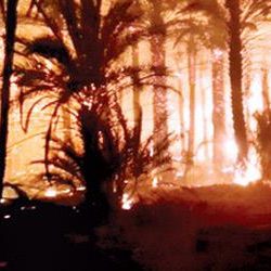 إنقاذ غرقى بسيول وادي ضمد