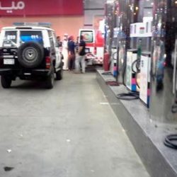 مصادرة غزالتين محنطتين