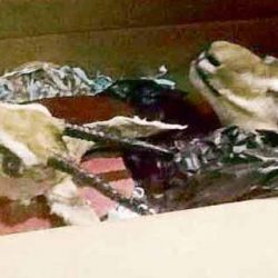 القطيف: السجن والجلد والغرامة لسائق ابتز فتاة
