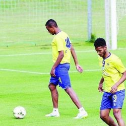 البرقان : لم نعطِ الوحدة الضوء الأخضر للتسجيل ولا خيار إلا السداد