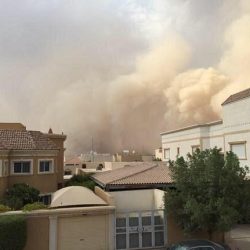 وصول خامس طائرة إغاثة سعودية إلى مطار عدن
