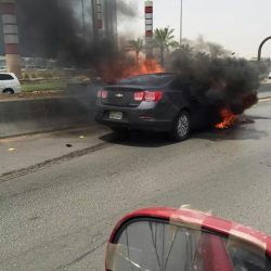 عامل بوفية بحفر الباطن يبيع لحوم اغنام”فاسدة”