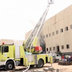 بالفيديو.. خليجيون يفترشون “الهايد بارك” ويطبخون طعامهم.. وآخرون يشربون الشيشة أسفل برج إيفل