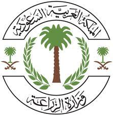 ولي العهد يوجه بتسهيل قبول أبناء الشهداء والمصابين في القطاعات العسكرية