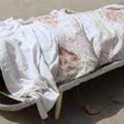 سرقة 1678 سيارة بالمملكة خلال شهر والرياض في المقدمة