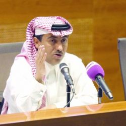 تذاكر الأهلي الموسمية تطرح «بعد ساعات»
