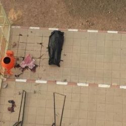 جدة.. ضبط «نصاب النساء» بعد استيلائه على 800 ألف ريال