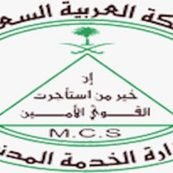 ضبط مخدرات ومركبات وأشخاص مطلوبين في جولة أمنية بينبع