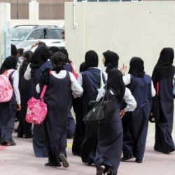 مرور الرياض: منع مواكب الزواجات المعرقلة لحركة السير وتظليل مركبة العريس