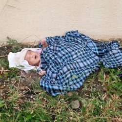 شرطة الرياض تحبط حملة وهمية لجمع التبرعات للشعب السوري