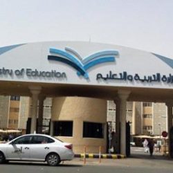 مواطن ينحر ناقة “أم رقيبة” قيمتها مليونا ريال ويوزع لحمها على أصدقائه