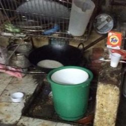 شفاء “أربعيني” وتسجيل حالتي بفيروس “كورونا” بالرياض
