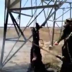 الجيش اليمني يضم 4800 مقاتل إلى صفوفه