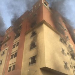“المالية”: وفد من صندوق النقد الدولي سيزور المملكة لإجراء مقابلات وظيفية