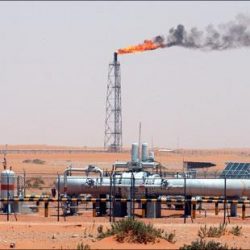 مسؤول تركي يكشف تفاصيل واقعة الاعتداء على مواطنة سعودية في مطار اسطنبول