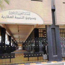 الإمارات تنفذ أكبر برنامج إنشائي نووي بالعالم