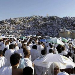 “العمل”: انخفاض معدل البطالة بنسبة 5.7%.. ونهدف لتوفير الوظائف التي يفضّلها المواطنون في القطاع الخاص