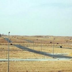 مصادر بالحرم تعلّق على مقطع تدافع الزوار بالمسجد النبوي (فيديو)