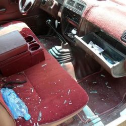 بالصور.. جمرك جسر الملك فهد يُحبط تهريب أكثر من 2.470 “طير زينة”