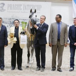 سعود الحقباني يتأهل لربع نهائي بطولة واشنطن للتنس