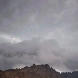 جندي إماراتي يستبدل اسمه باسم أخيه في قوات التحالف دون علمه فيحظى بالشهادة