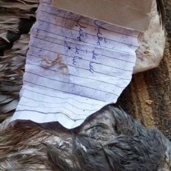 بالصور.. “التجارة” تغلق 14 مضخة بنزين بجدة بسبب مخالفات في المعايرة وخلط الوقود