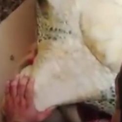 مصرع كاتم أسرار المخلوع في غارة للتحالف