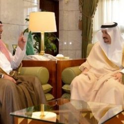 بالفيديو.. شباب يذبحون سلحفاة ويسلخونها تمهيداً لأكلها