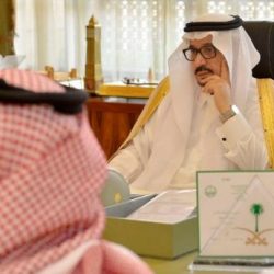 شبان يقطعون ذيل كلب ويضعون الملح على الجرح