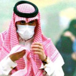 بالصور.. ضبط سيارة محملة باللحوم المتعفنة قبل توزيعها بـ”المعابدة”
