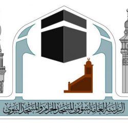 فيديو مروِّع للحظة سقوط رافعة الحرم.. وفرار الزوار وتدافعهم وهم يرددون الشهادة