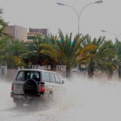 بالفيديو.. سقوط وتطاير الزوار والحواجز البلاستيكية بساحات الحرم بفعل الرياح الشديدة