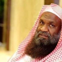 مهندس بمجموعة “بن لادن”: سقوط رافعة الحرم ليس بسبب خطأً فني.. وخارج عن إرادة البشر