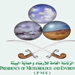 بالفيديو.. مهندس يكشف أسباب سقوط “رافعة الحرم” بعيداً عن شدة الرياح والأمطار