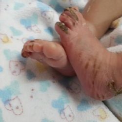 قانوني: مصور فيديو “المعتدي بالساطور” مشارك في الجريمة