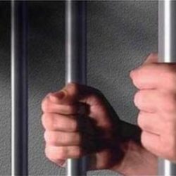 الدوريات الأمنية توقع بـ 20 كدادًا وحاجًا مخالفًا خلال 6 ساعات