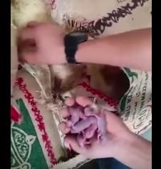 مصدر مسؤول: هناك مشكلة تهوية في ملعب “الجوهرة”