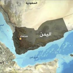 قوات الشرعية تسيطر على تلال حاكمة بمأرب