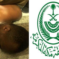 4 سعوديين يقطعون 1200 كيلو لبيع صقورهم في مزاد نادي الصقور السعودي
