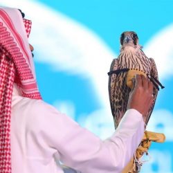 منتدى القيم الدينية يدعو لمواجهة خطاب الكراهية ونشر قيم التسامح والتعاون ونبذ العنف والعنصرية